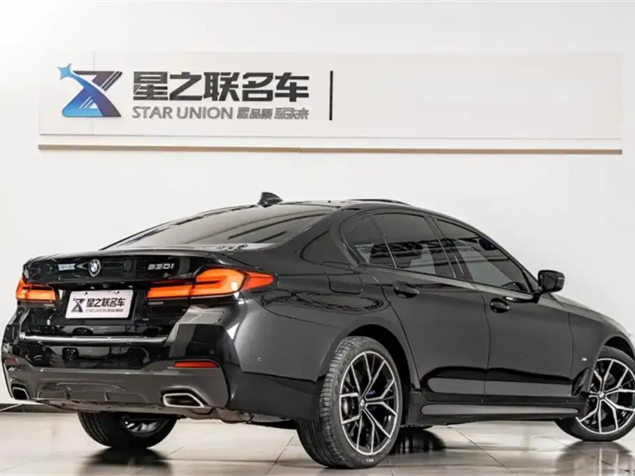 BMW 5 Series (Import) 2021 из CN, фото 3