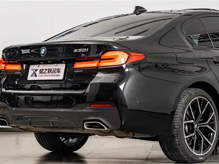 BMW 5 Series (Import) 2021 из CN, фото 8