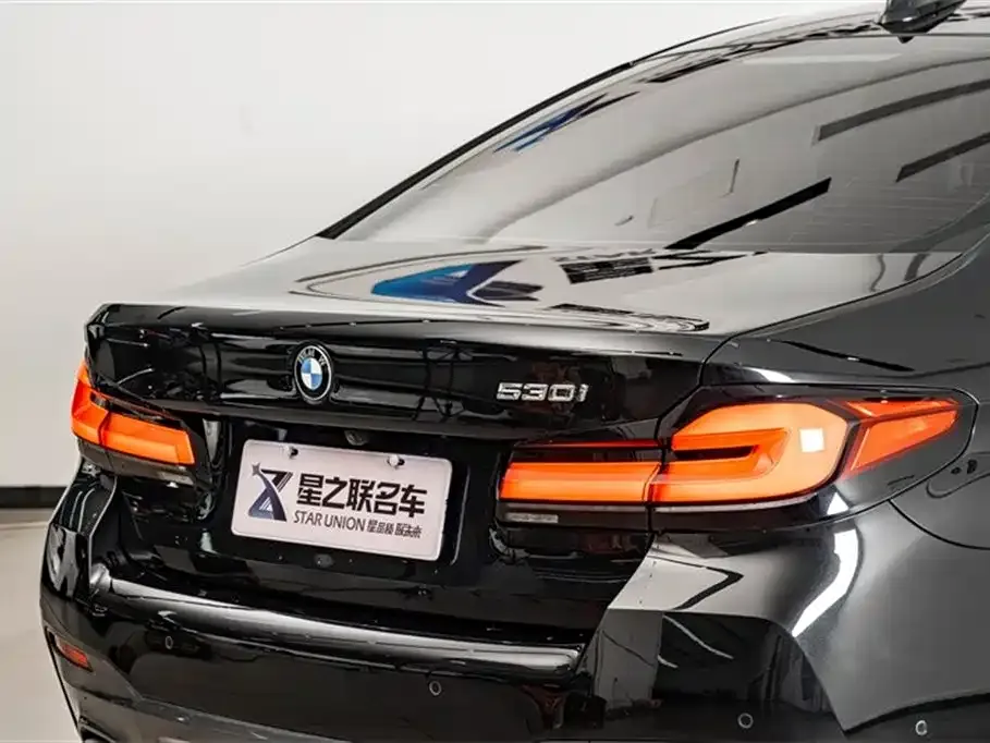 BMW 5 Series (Import) 2021 из CN, фото 10