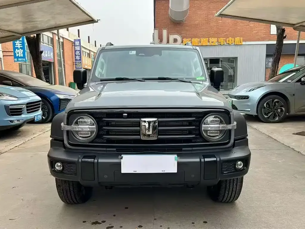 Tank 300 2023 из CN, фото 3