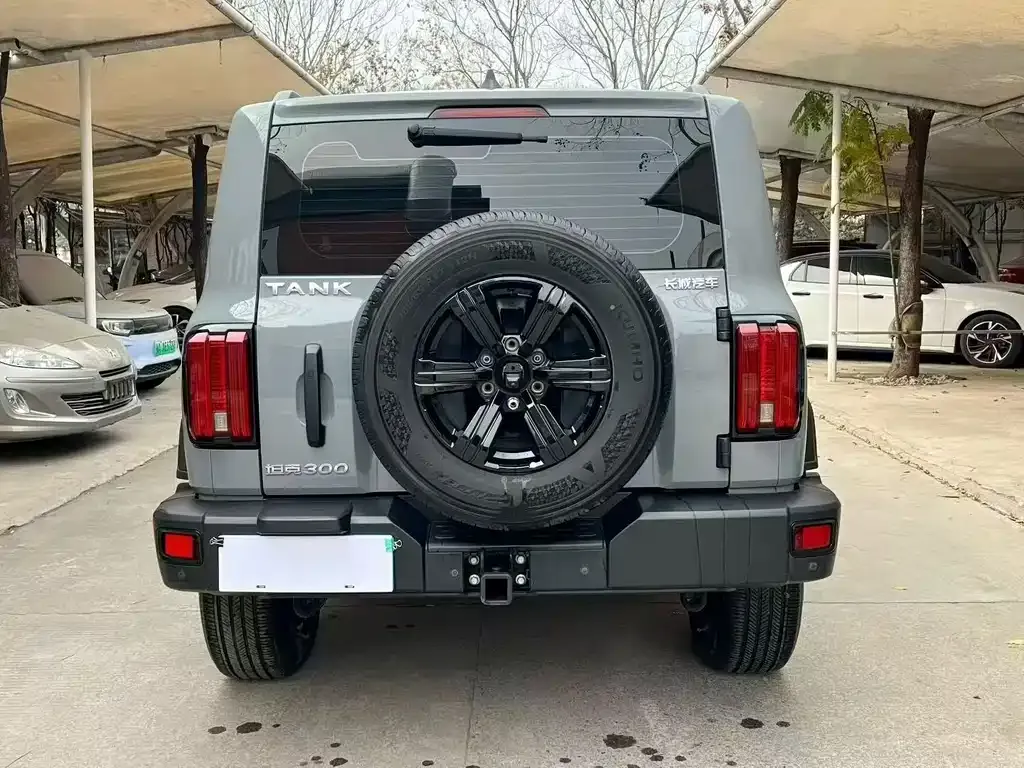 Tank 300 2023 из CN, фото 6