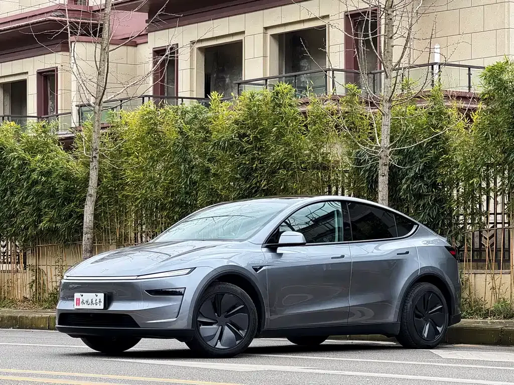 Tesla Model Y 2025 из CN, фото 1