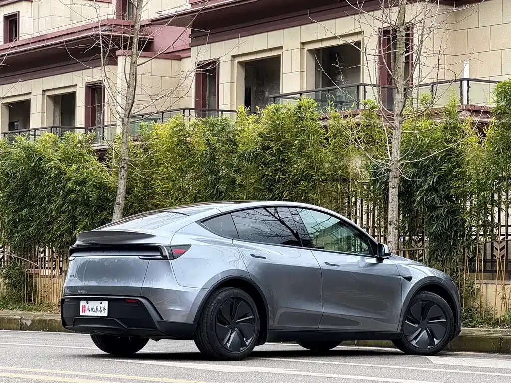 Tesla Model Y 2025 из CN, фото 10
