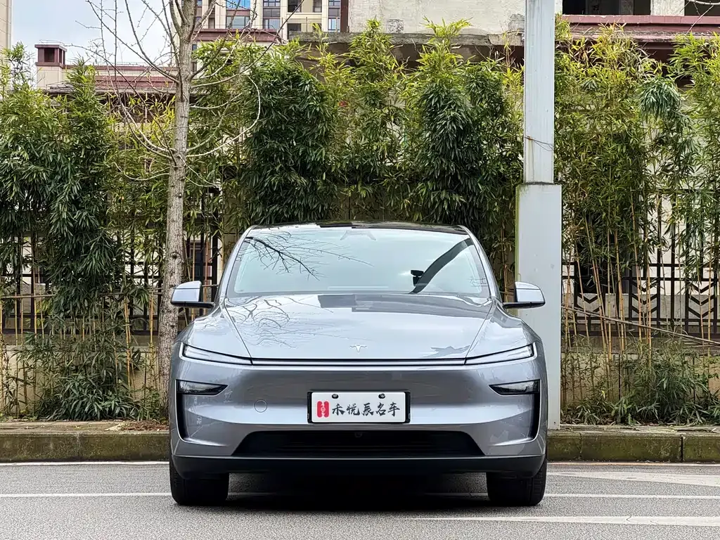 Tesla Model Y 2025 из CN, фото 8