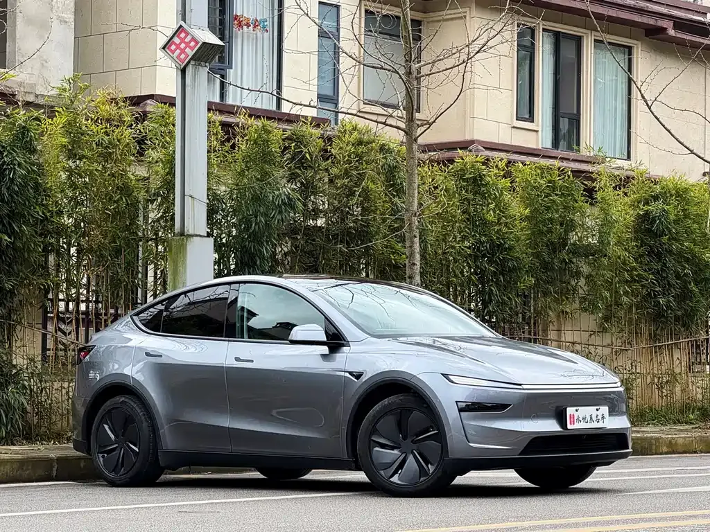 Tesla Model Y 2025 из CN, фото 9