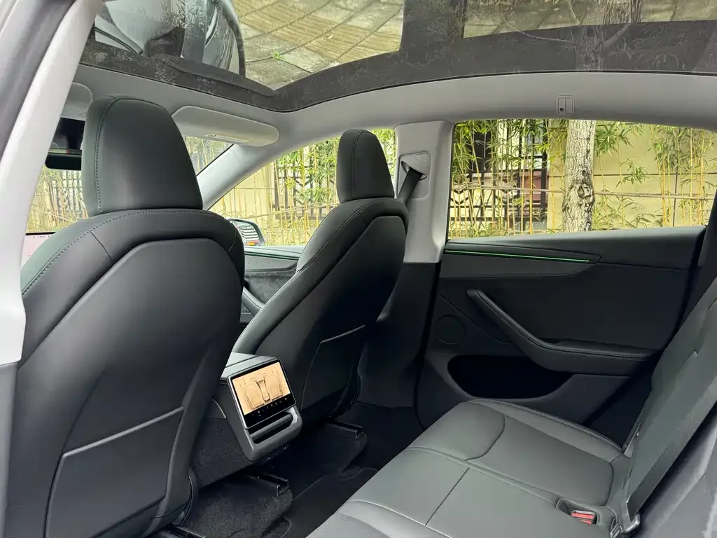 Tesla Model Y 2025 из CN, фото 6