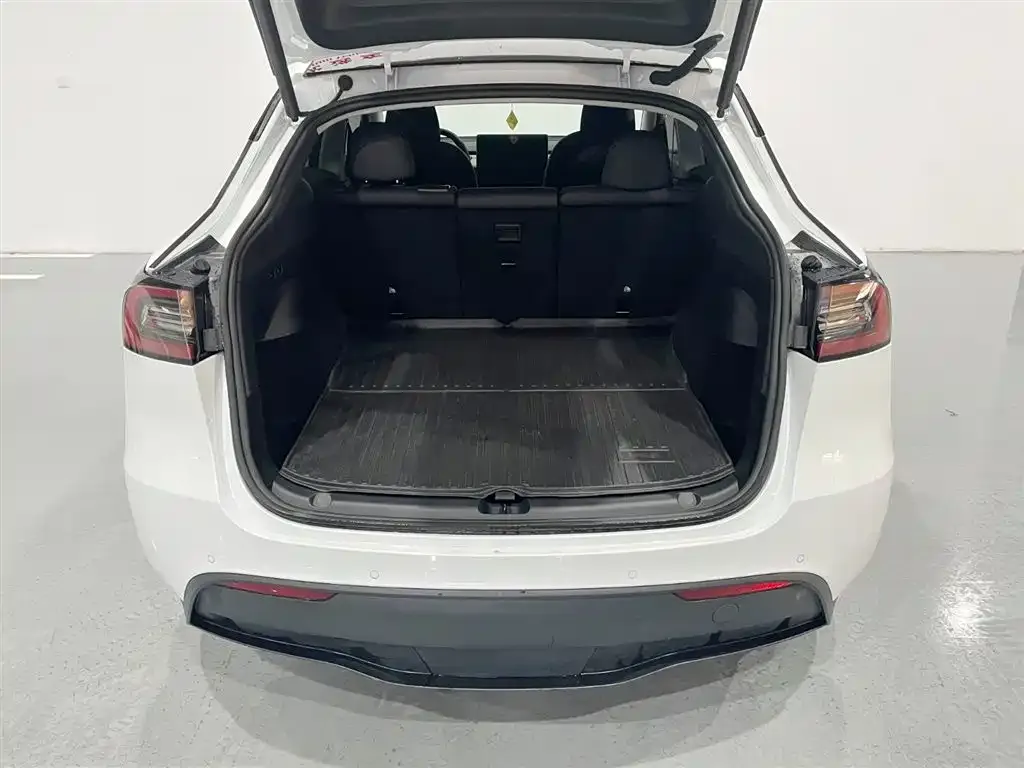 Tesla Model Y 2023 из CN, фото 5