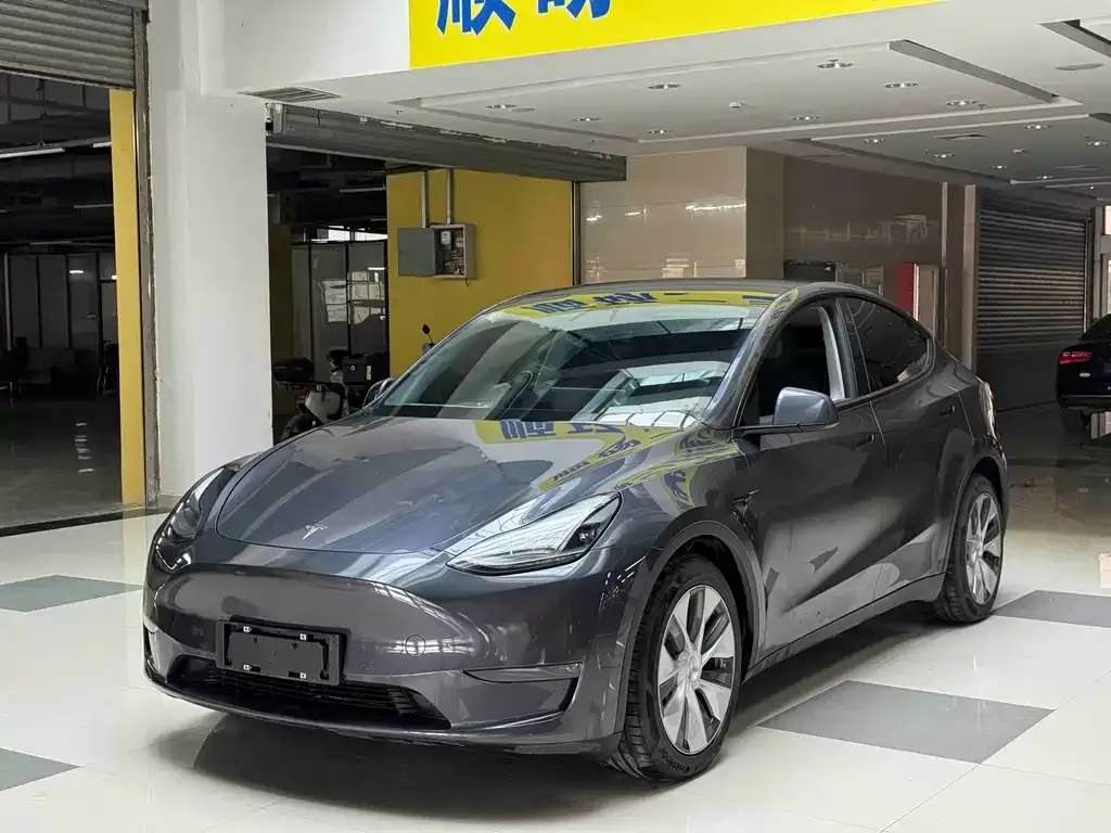 Tesla Model Y 2021 из CN, фото 1