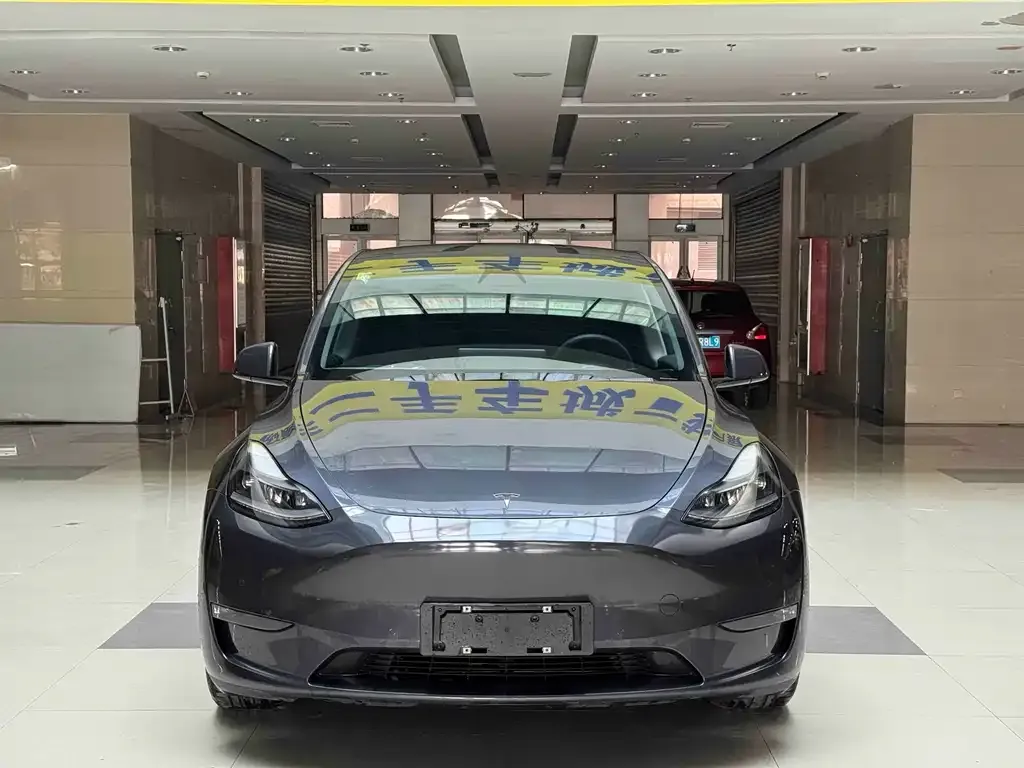Tesla Model Y 2021 из CN, фото 4