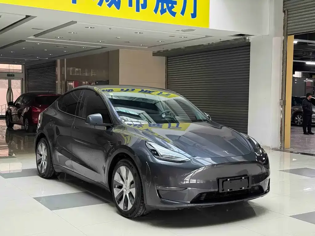 Tesla Model Y 2021 из CN, фото 8
