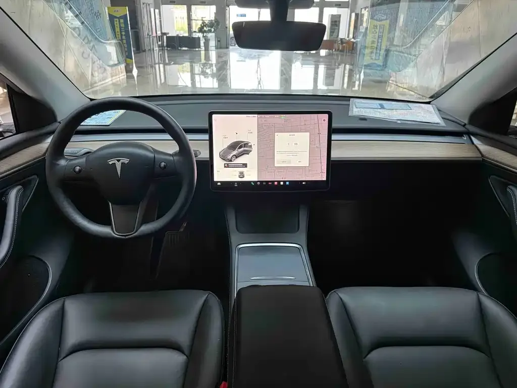 Tesla Model Y 2021 из CN, фото 7