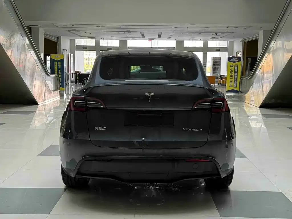 Tesla Model Y 2021 из CN, фото 6
