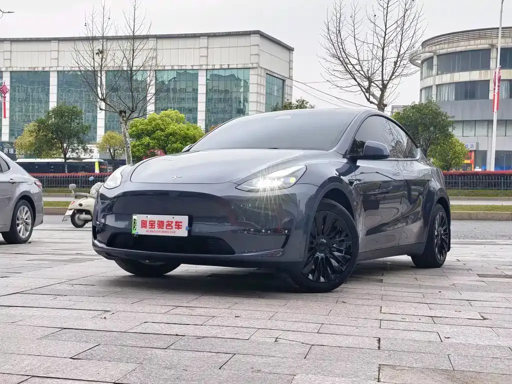 Tesla Model Y 2022 из CN, фото 1