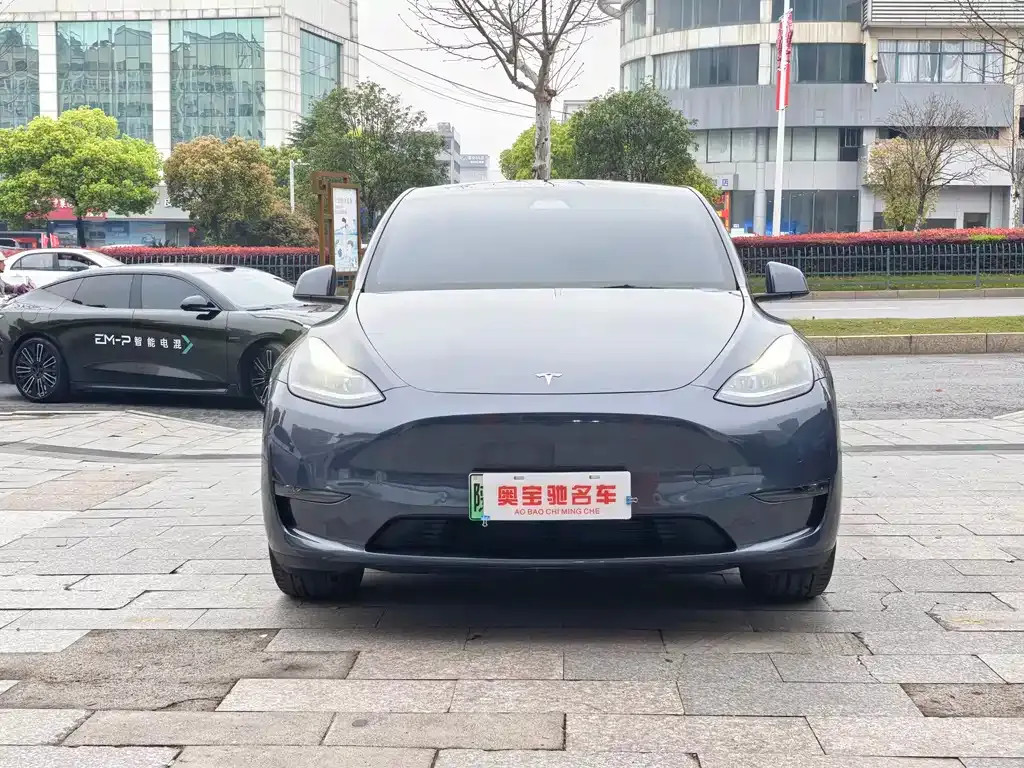 Tesla Model Y 2022 из CN, фото 6