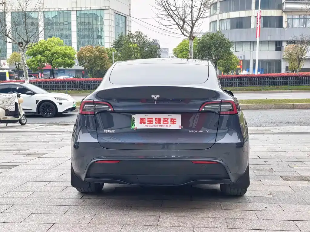 Tesla Model Y 2022 из CN, фото 4