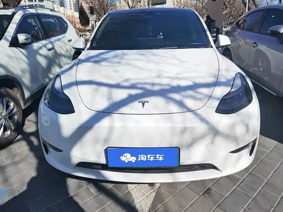 Tesla Model Y — фото 3