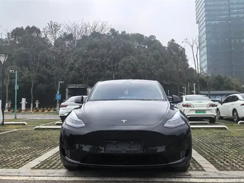 Tesla Model Y — фото 6