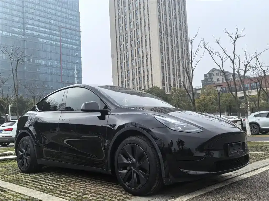 Tesla Model Y — фото 5