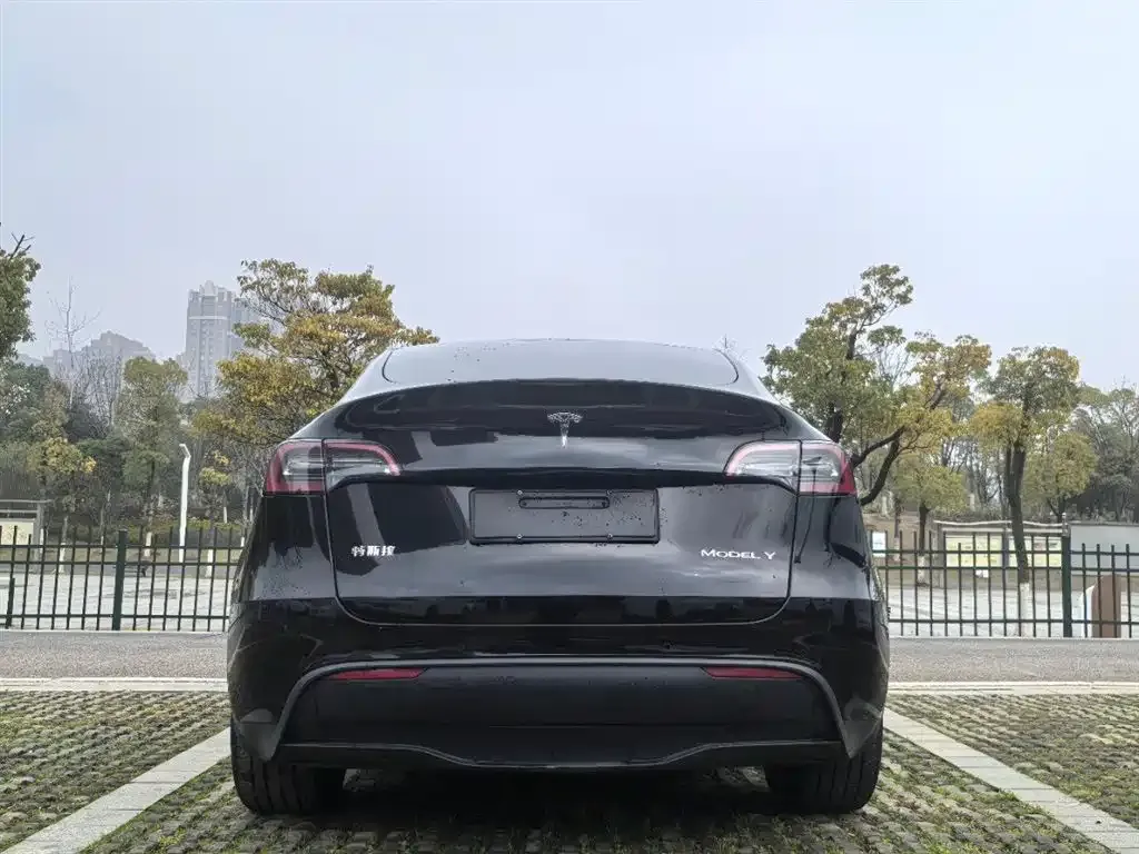 Tesla Model Y — фото 9