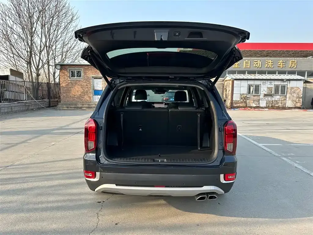 Hyundai Palisade 2021 из CN, фото 6