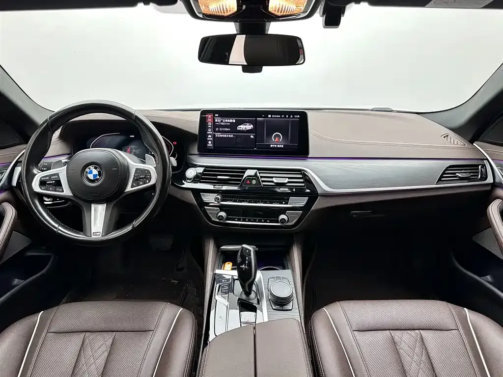 BMW 5 Series 2021 из CN, фото 10