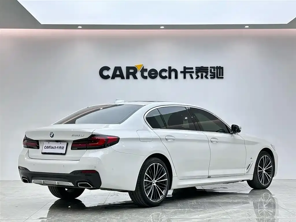 BMW 5 Series 2021 из CN, фото 5