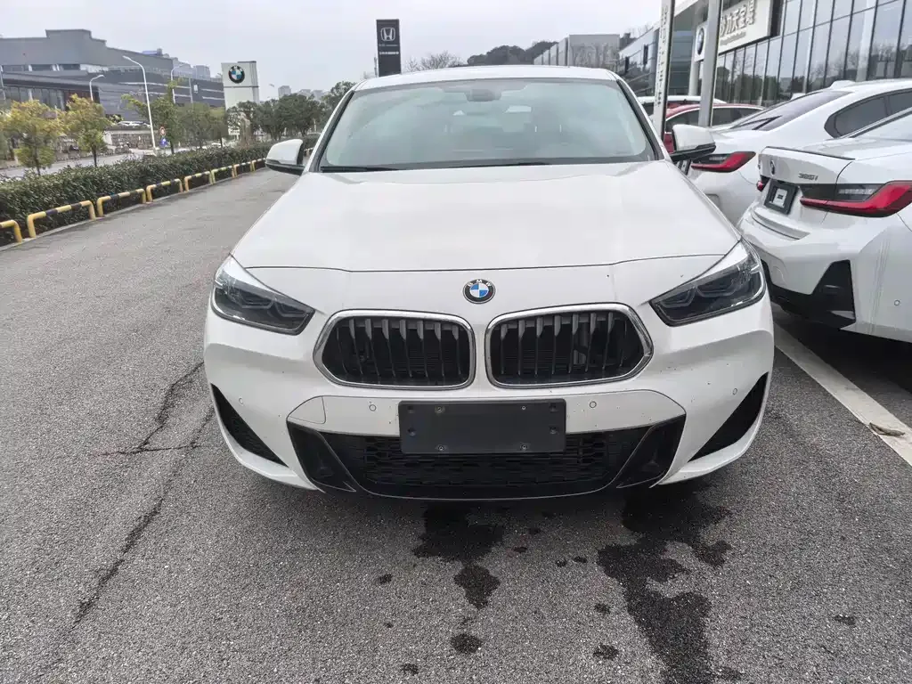 BMW X2 2022 из CN, фото 8