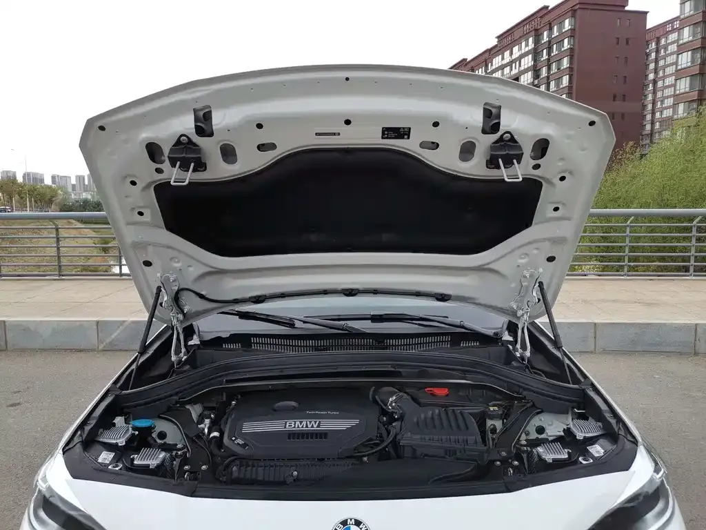 BMW X2 2022 из CN, фото 6