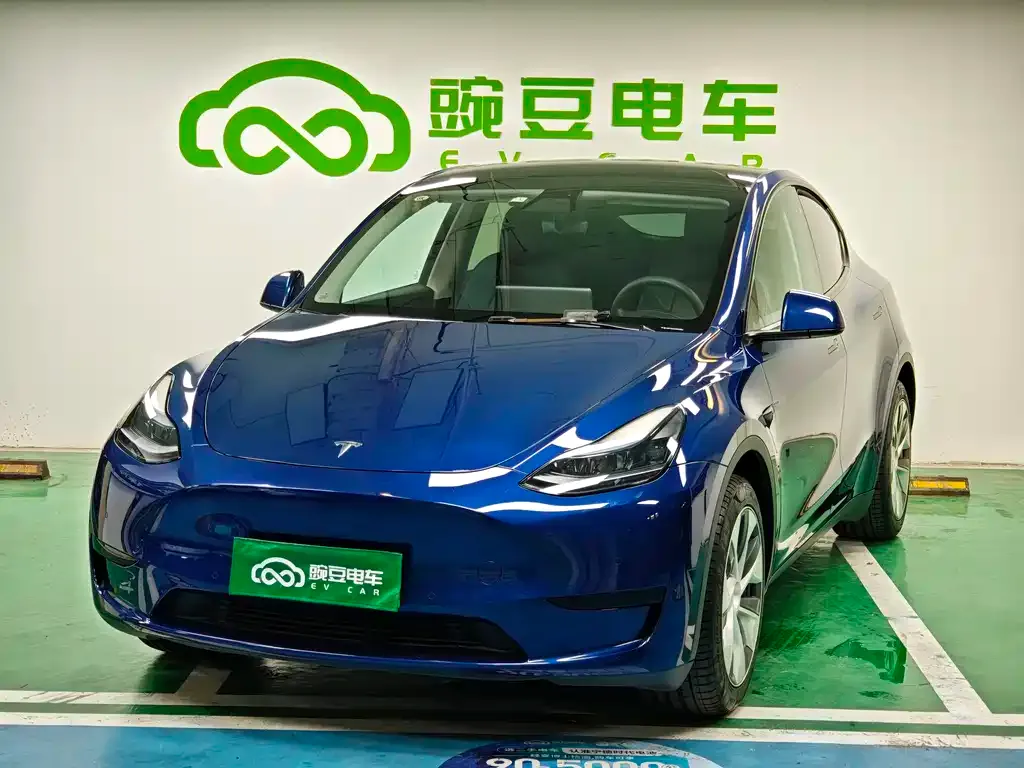 Tesla Model Y — фото 1