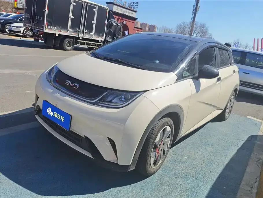 BYD Dolphin 2024 из CN, фото 1