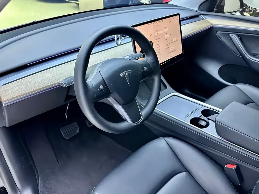 Tesla Model Y — фото 10