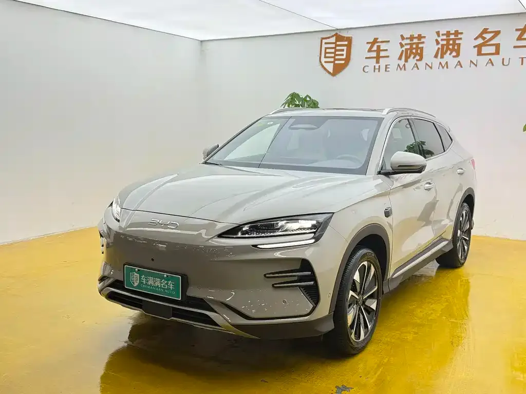 BYD PLUS New Energy — фото 1
