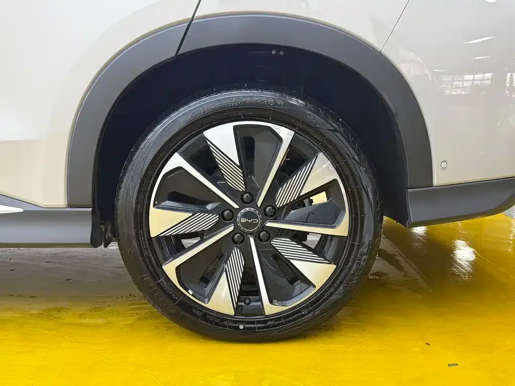 BYD PLUS New Energy — фото 3
