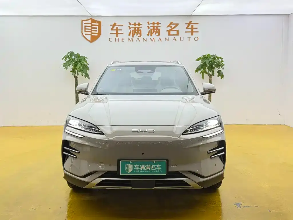 BYD PLUS New Energy — фото 2