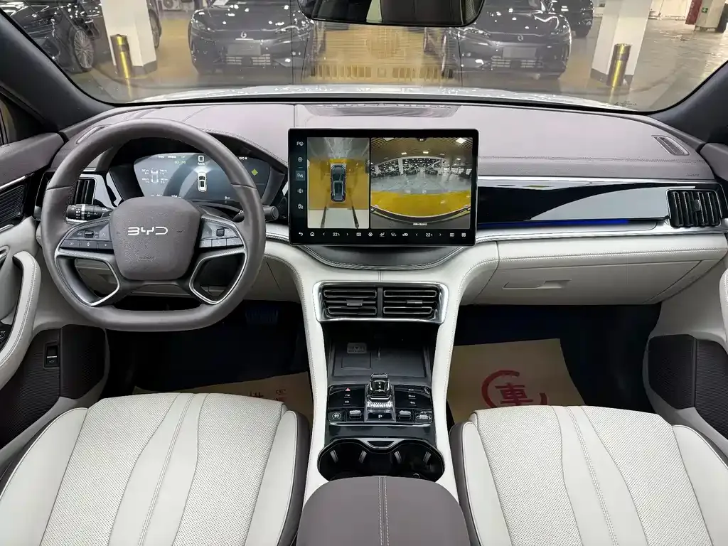 BYD PLUS New Energy — фото 4