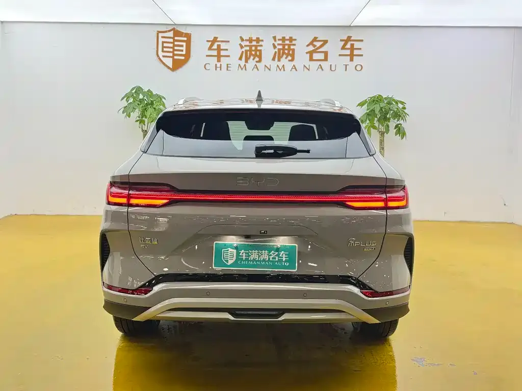 BYD PLUS New Energy — фото 8