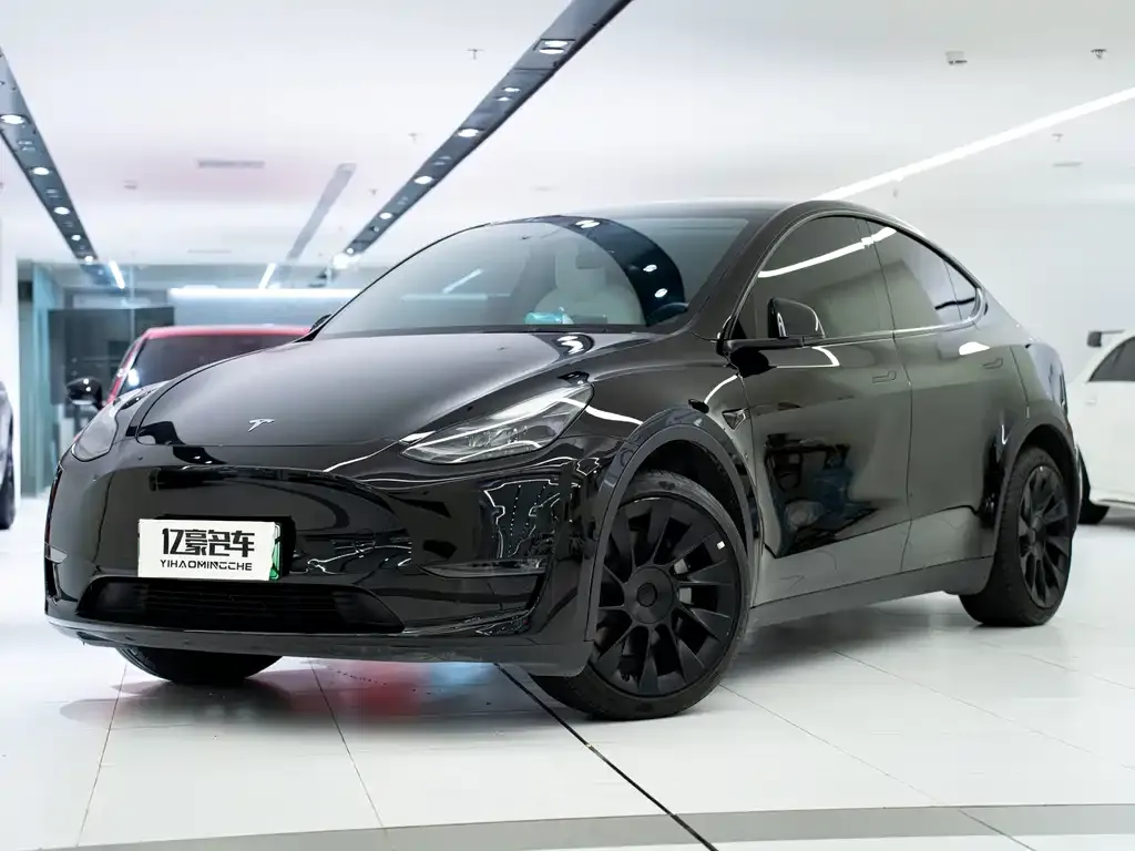 Tesla Model Y 2022 из CN, фото 1