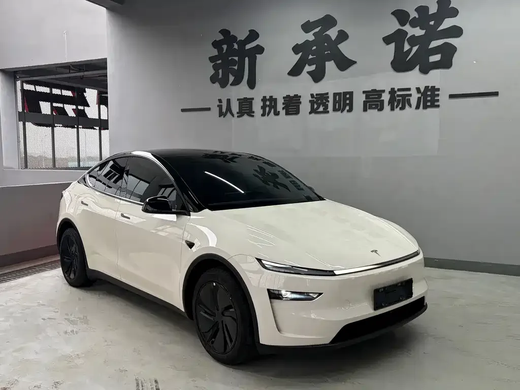 Tesla Model Y — фото 6