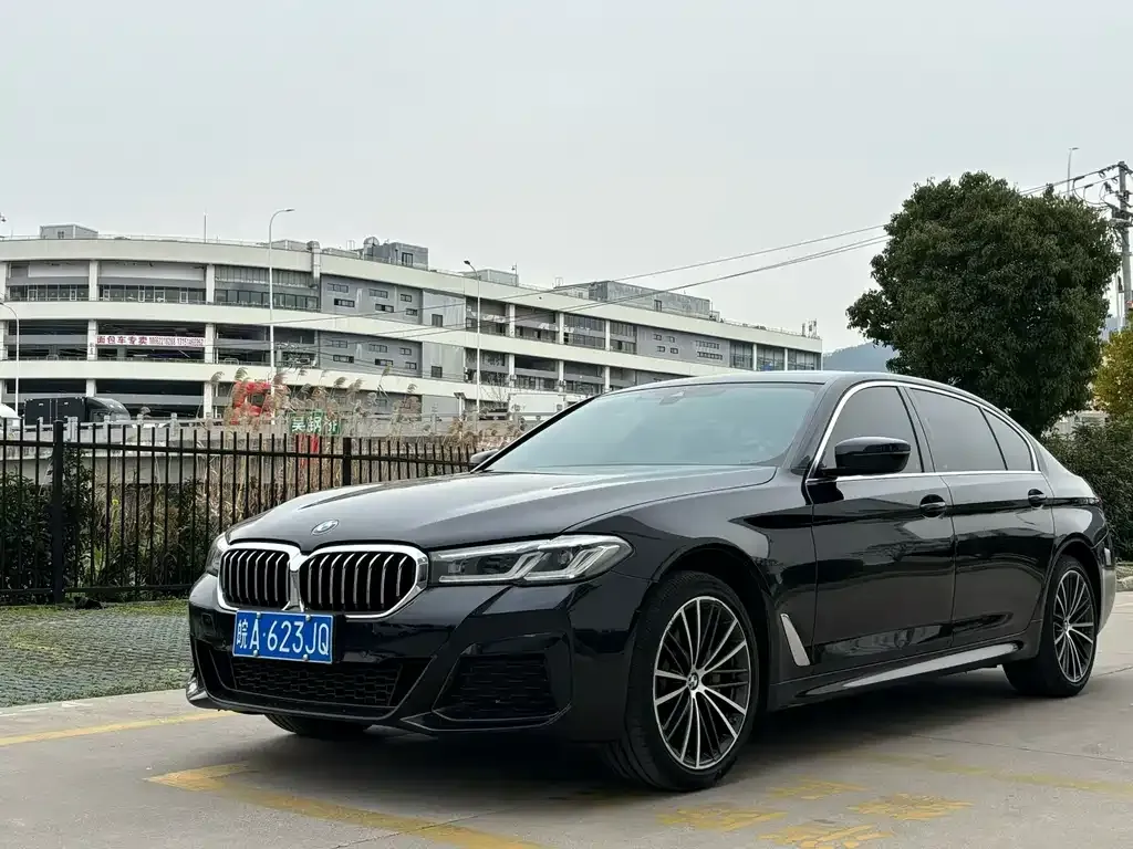BMW 5 Series 2023 из CN, фото 1
