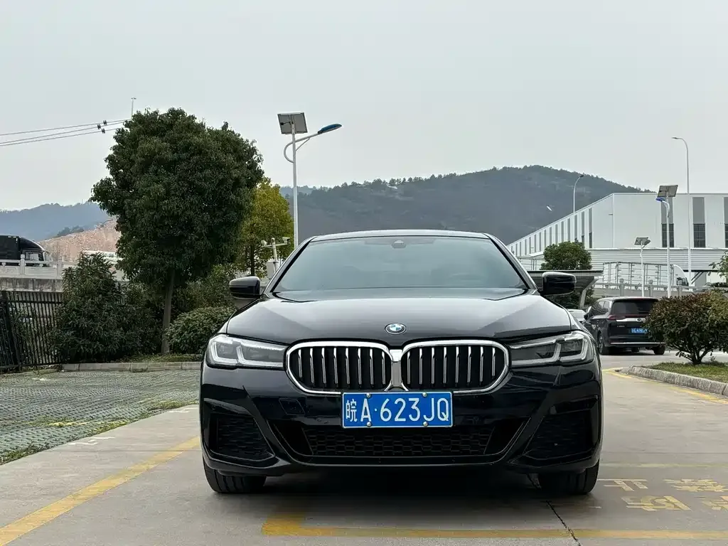 BMW 5 Series 2023 из CN, фото 2