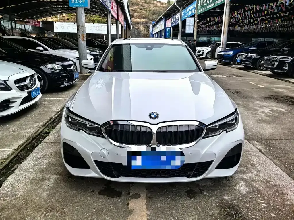 BMW 3 Series 2021 из CN, фото 6