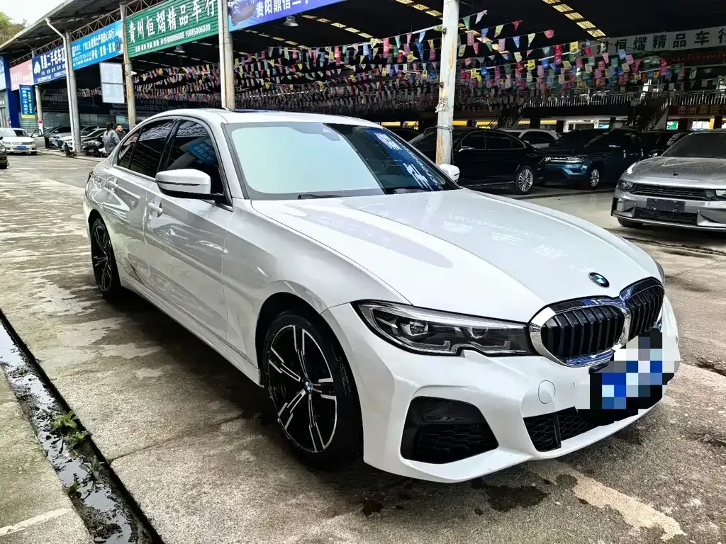 BMW 3 Series 2021 из CN, фото 9
