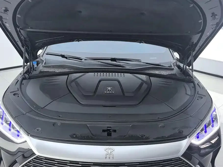 BYD PLUS New Energy 2023 из CN, фото 8