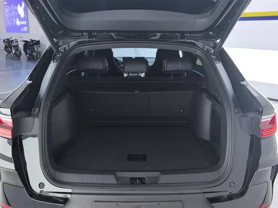 BYD PLUS New Energy 2023 из CN, фото 4
