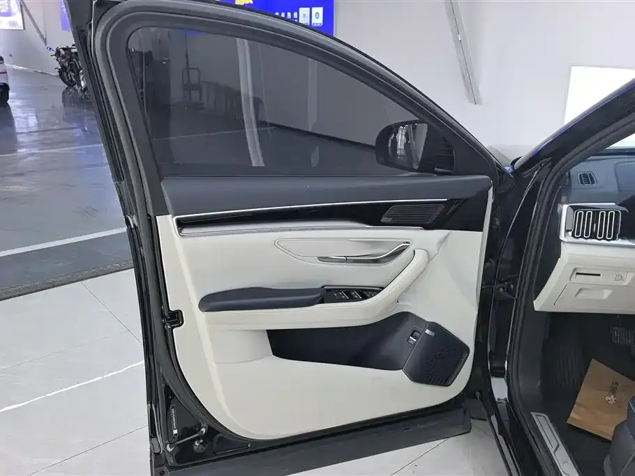 BYD PLUS New Energy 2023 из CN, фото 6