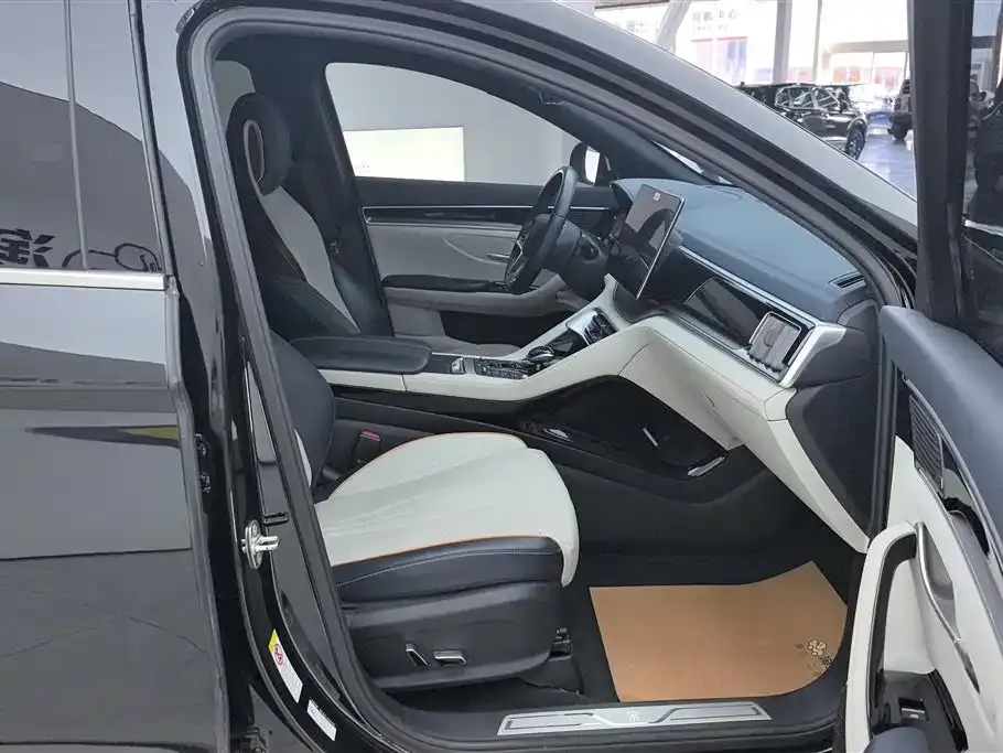 BYD PLUS New Energy 2023 из CN, фото 7
