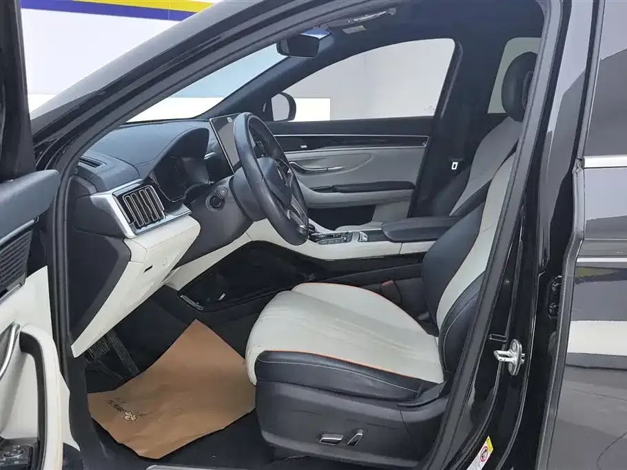 BYD PLUS New Energy 2023 из CN, фото 10