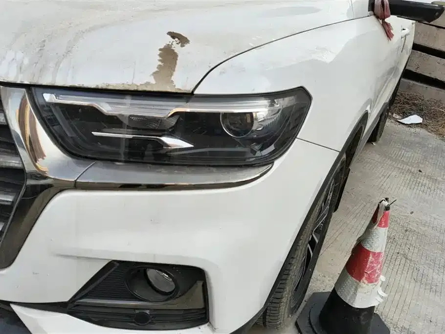 Haval H6 2023 из CN, фото 8