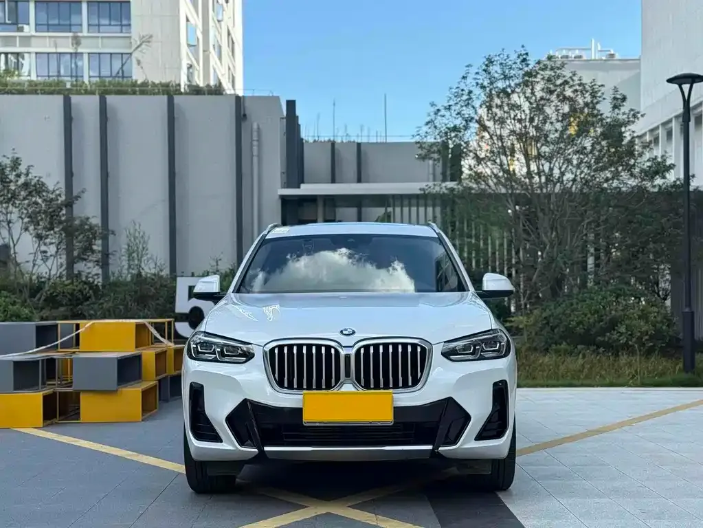 BMW X3 2021 из CN, фото 8