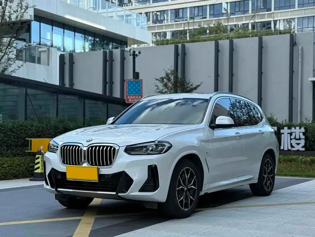 BMW X3 2021 из CN, фото 10